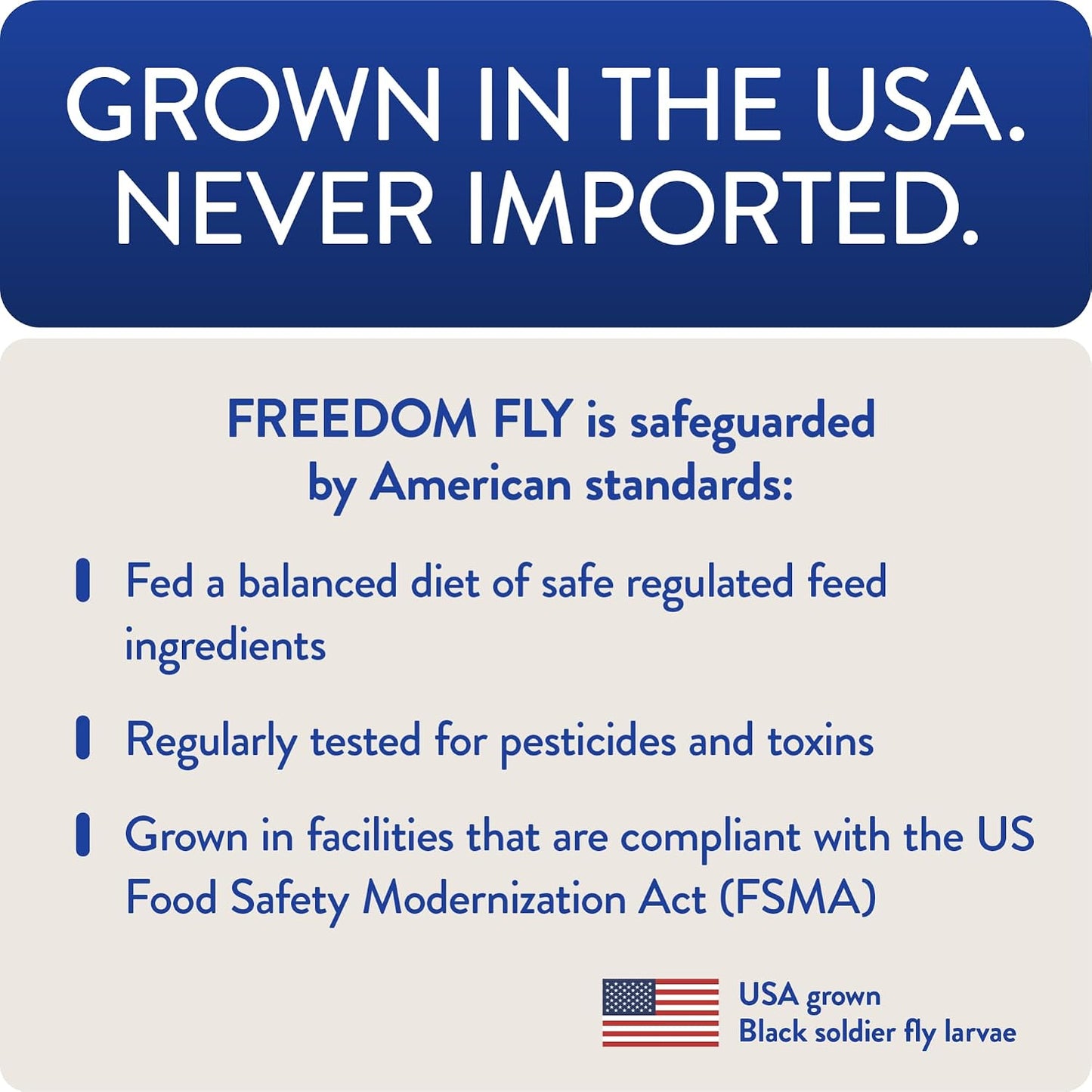 Healthy backyard chickens eating Freedom Fly larvae treats