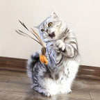 Colorful replacement feather refills and insect bug teasers for indoor kitten play sessions.