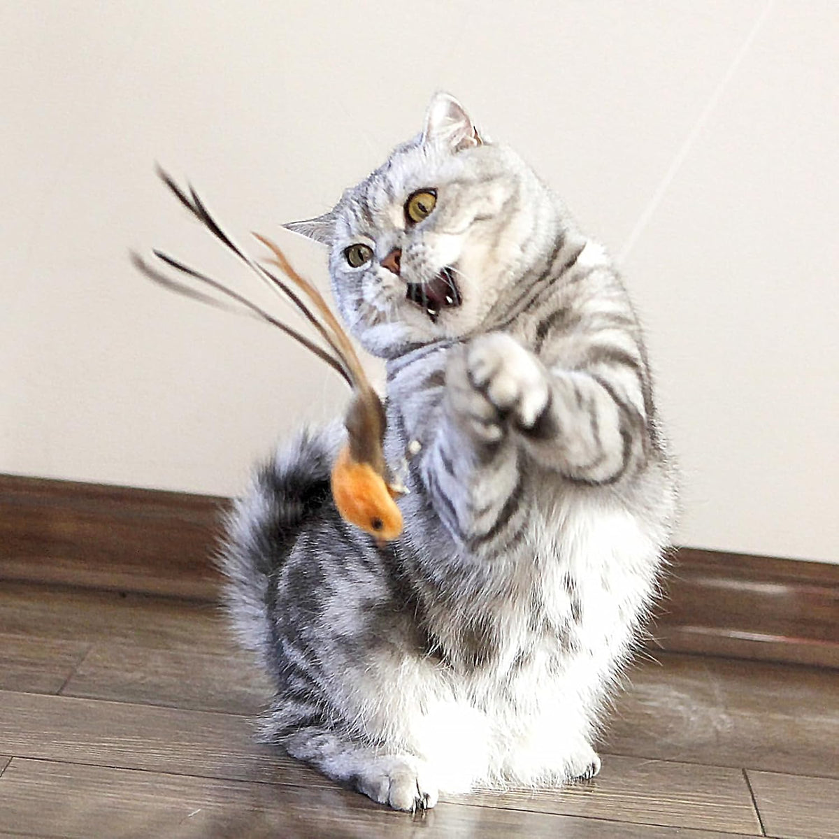 Colorful replacement feather refills and insect bug teasers for indoor kitten play sessions.