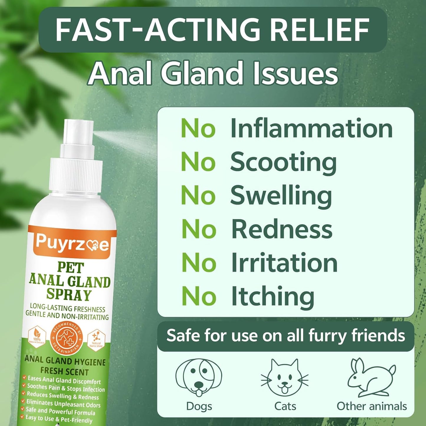 Dog anal gland relief spray application on a Pembroke Welsh Corgi.