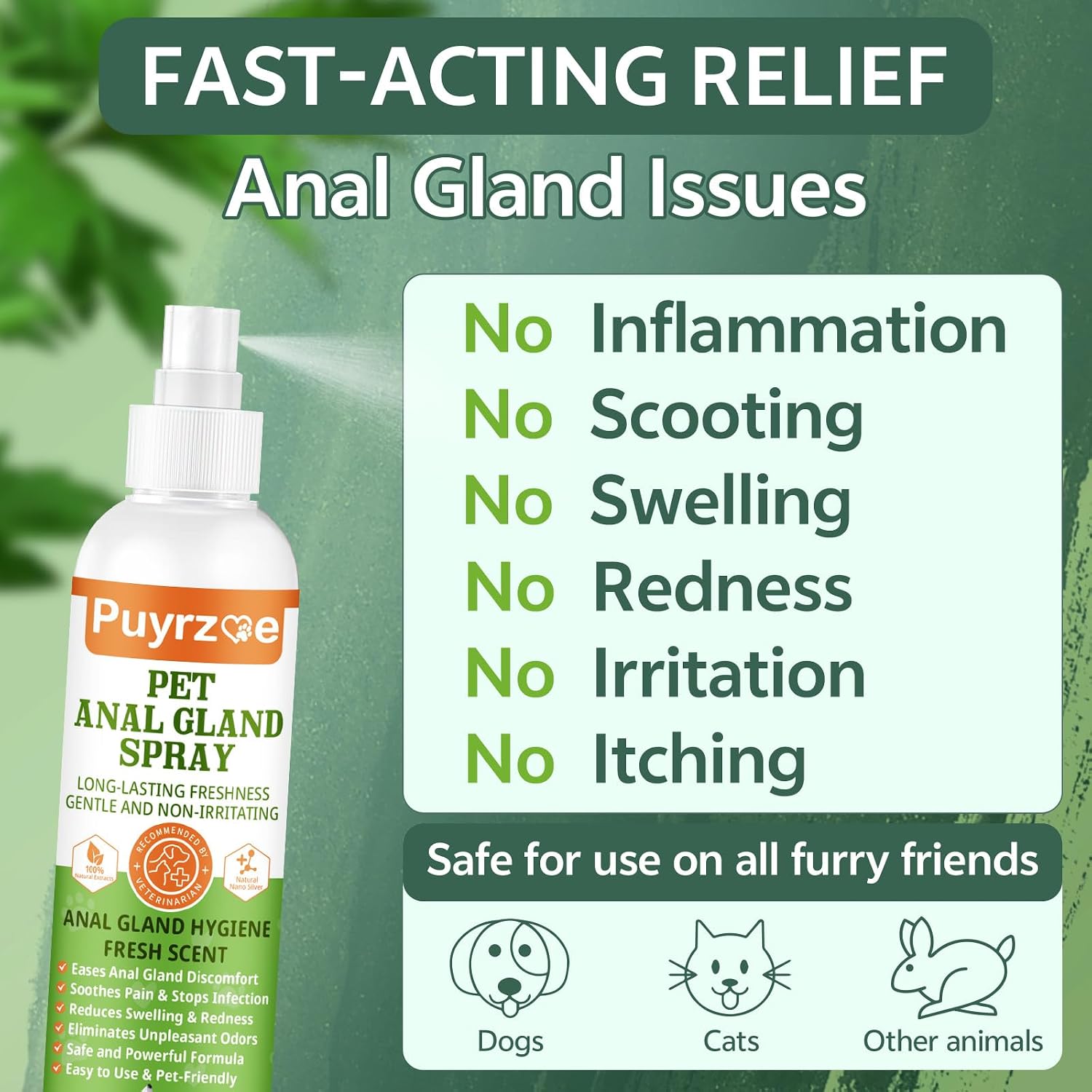 Dog anal gland relief spray application on a Pembroke Welsh Corgi.