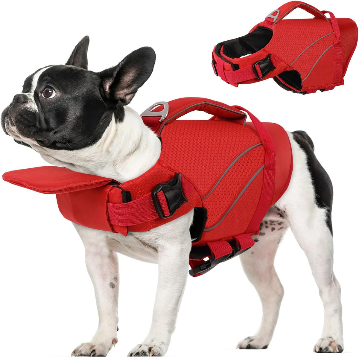 Queenmore Small Dog Life Jacket with Reflective Stripes, Adjustable Life Jacket for Small Dogs, Puppy Swimming Vest High Flotation, Puppy Life Jacket with Front Neck Float (Blue,S) - Image 11