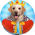 SCENEREAL Dog Cone Alternative After Surgery Pet Recovery Collar for Small Medium Large Dogs Cats, Adjustable Inflatable Donut to Prevent Licking, Black Suit Print E-Collars - Image 14