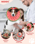 Side profile of Midog inflatable watermelon donut collar for dogs