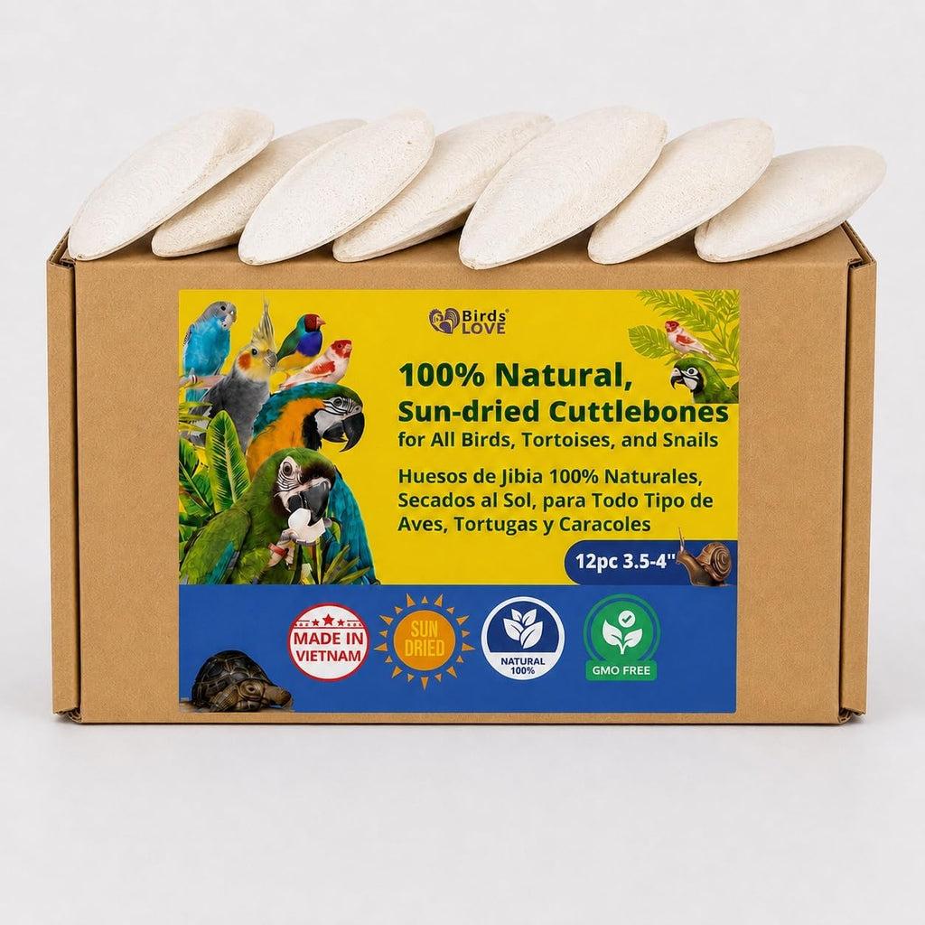 Birds LOVE 3.5-4" Cuttlebone for Birds - 100% Natural Sun-Dried Calcium & Beak Conditioning Supplement for Parakeets, Budgies, Cockatiels, Finches & Canaries - 4 Pack with Holder - Made in Vietnam - Image 9