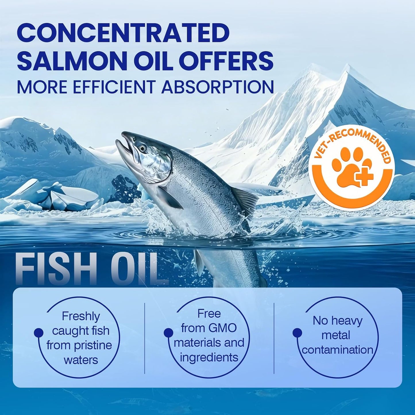 Back label of TTLXBL dog vitamins showcasing dosage instructions and benefits