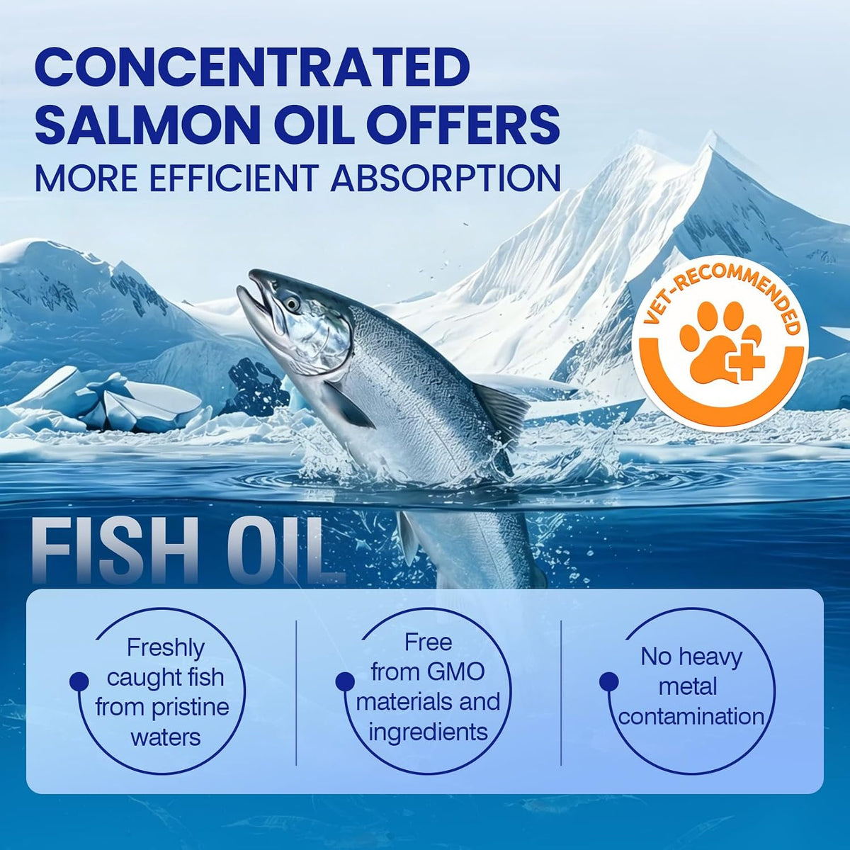 Back label of TTLXBL dog vitamins showcasing dosage instructions and benefits