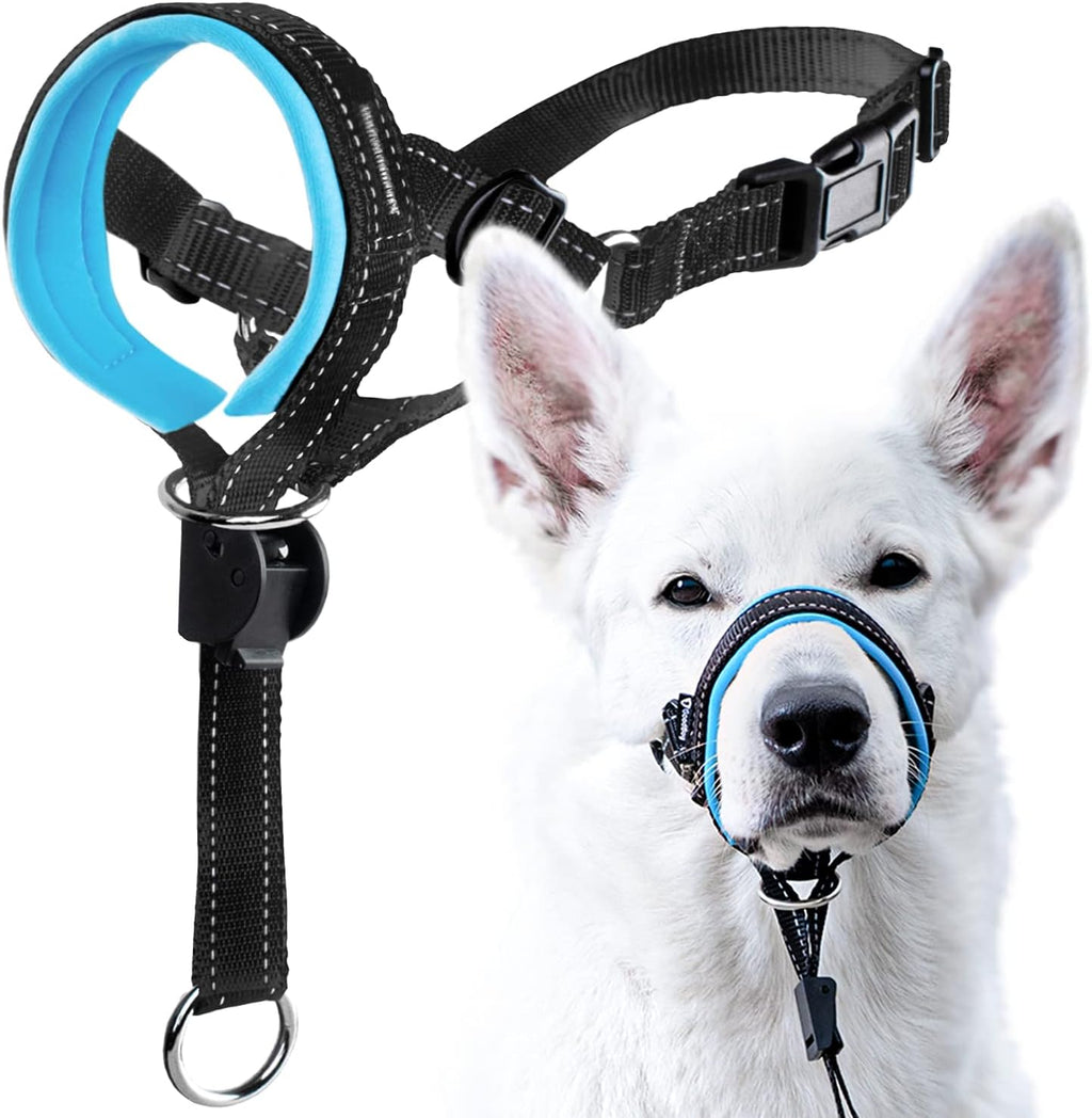GoodBoy Dog Head Halter with Safety Strap - Stops Heavy Pulling On The Leash - Padded Headcollar for Small Medium and Large Dog Sizes - Head Collar Training Guide Included (Size 2, Pink) - Image 11