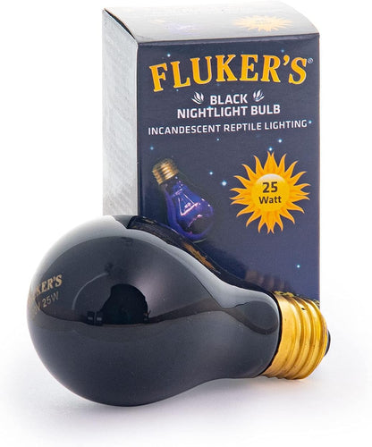 Fluker's incandescent nightlight bulb installed in a professional reptile clamp lamp