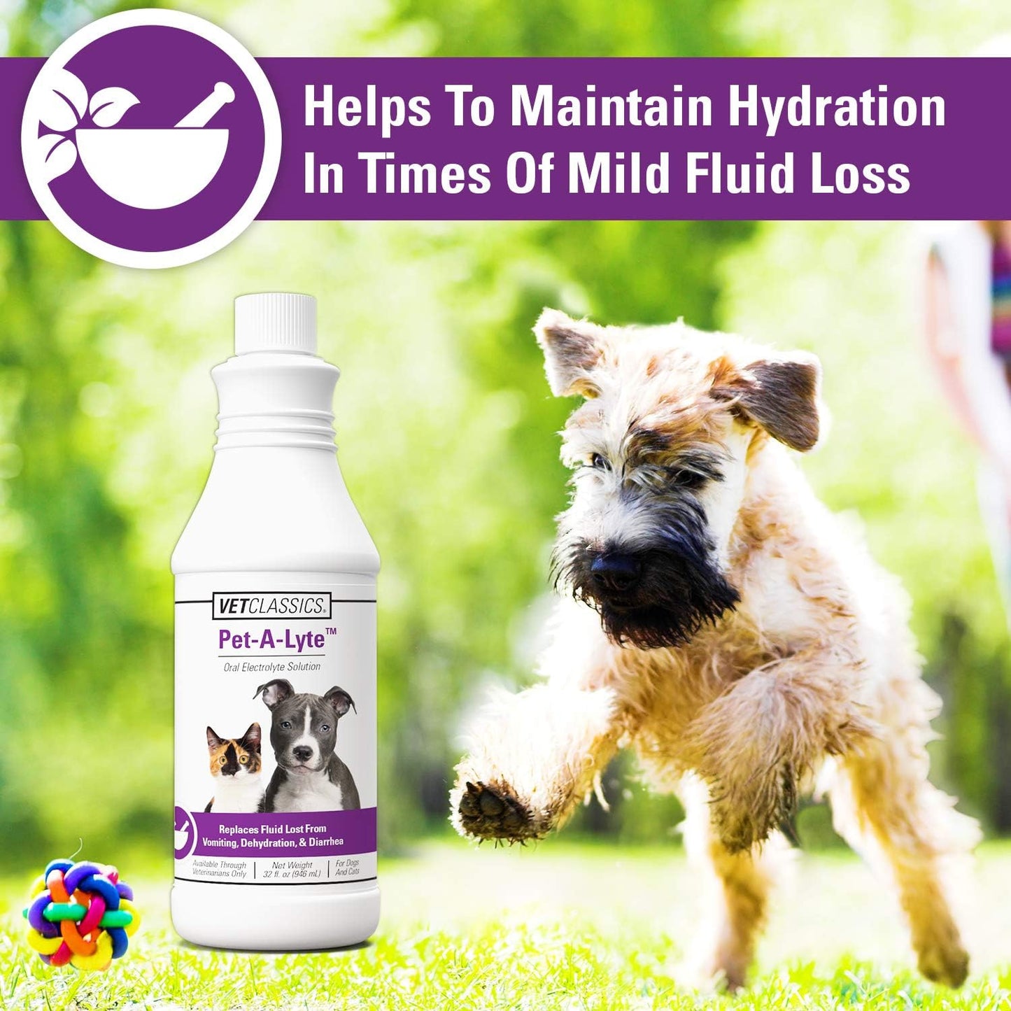 Vet Classics Pet-A-Lyte oral electrolyte supplement product label