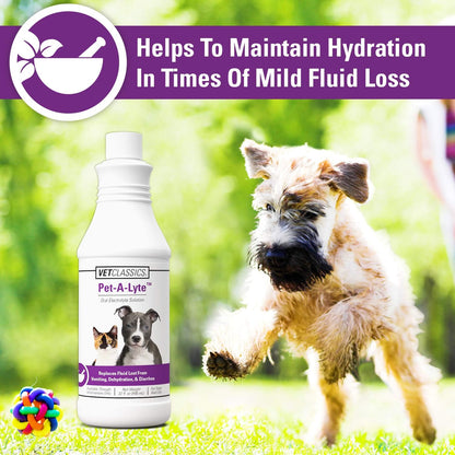 Vet Classics Pet-A-Lyte oral electrolyte supplement product label