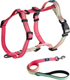 Roses&Poetry Dog Harness for Large Dogs, No-Pull Dog Harness and Leash Set Adjustable Reflective, Dog Vest Harnesses Comfort Padded Handle, Pet Harness for Training Outdoor WalkingMistyrose-L - Image 9