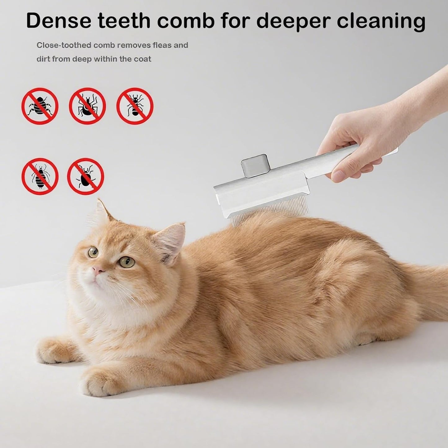 Detailed view of brush bristles and flea comb teeth