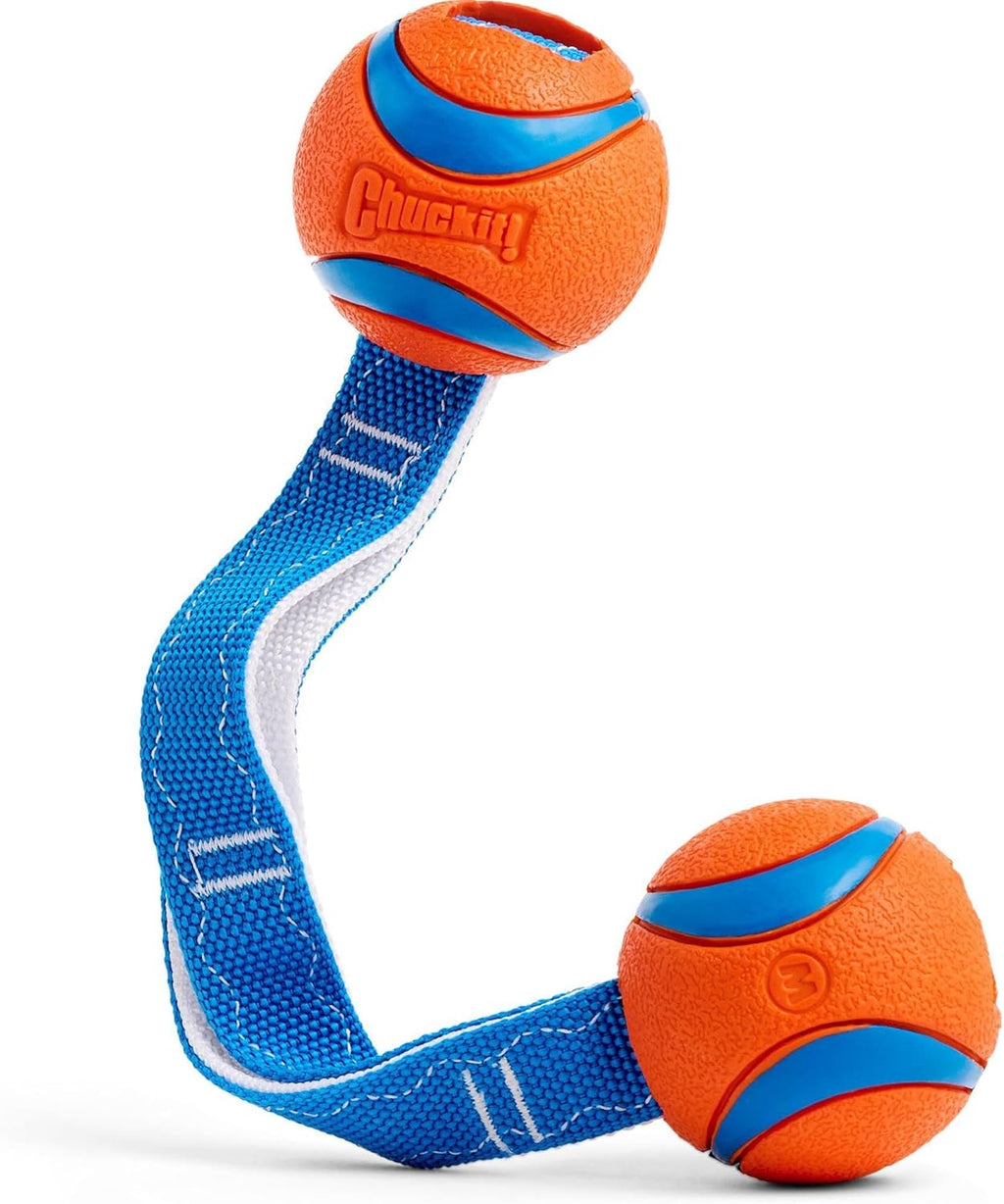 Orange and blue Chuckit Ultra Tug high visibility