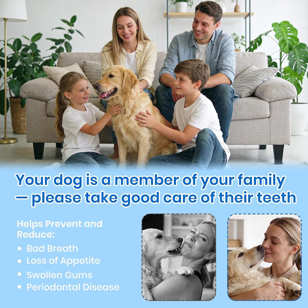 Pet Ultrasonic Tooth Cleaner,Dog Plaque Remover Tool,White | dog teeth cleaning,plaque remover for teeth,dog tartar and plaque remover,plaque off for dogs,5 Mode Pet Teeth Cleaning Kit - Image 9
