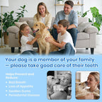 Pet Ultrasonic Tooth Cleaner,Dog Plaque Remover Tool,White | dog teeth cleaning,plaque remover for teeth,dog tartar and plaque remover,plaque off for dogs,5 Mode Pet Teeth Cleaning Kit - Image 9