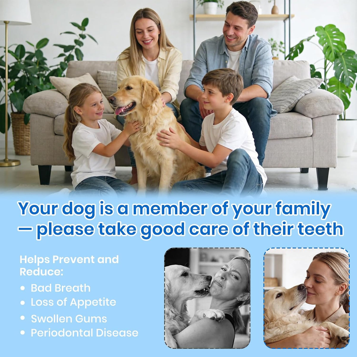 Pet Ultrasonic Tooth Cleaner,Dog Plaque Remover Tool,White | dog teeth cleaning,plaque remover for teeth,dog tartar and plaque remover,plaque off for dogs,5 Mode Pet Teeth Cleaning Kit - Image 9