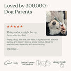 Dandylion plant-based dog paw moisturizer for sensitive skin and seasonal allergies