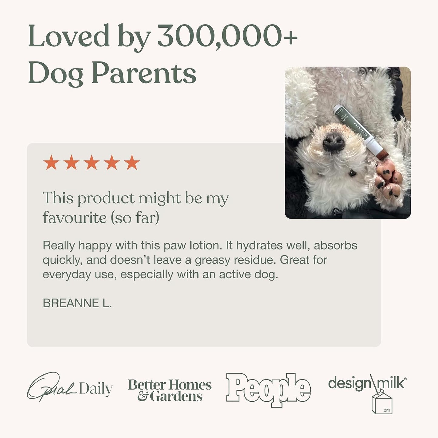 Dandylion plant-based dog paw moisturizer for sensitive skin and seasonal allergies