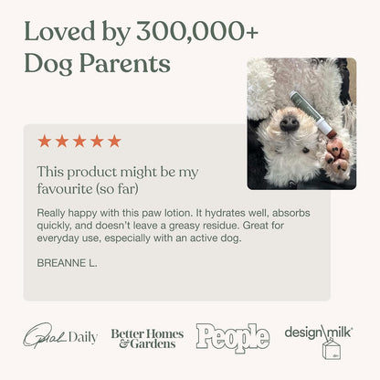 Dandylion plant-based dog paw moisturizer for sensitive skin and seasonal allergies