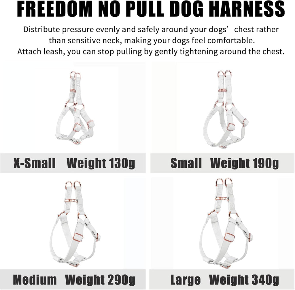 D-ring leash attachment points on AaufiLux dog harness