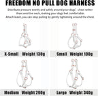 D-ring leash attachment points on AaufiLux dog harness