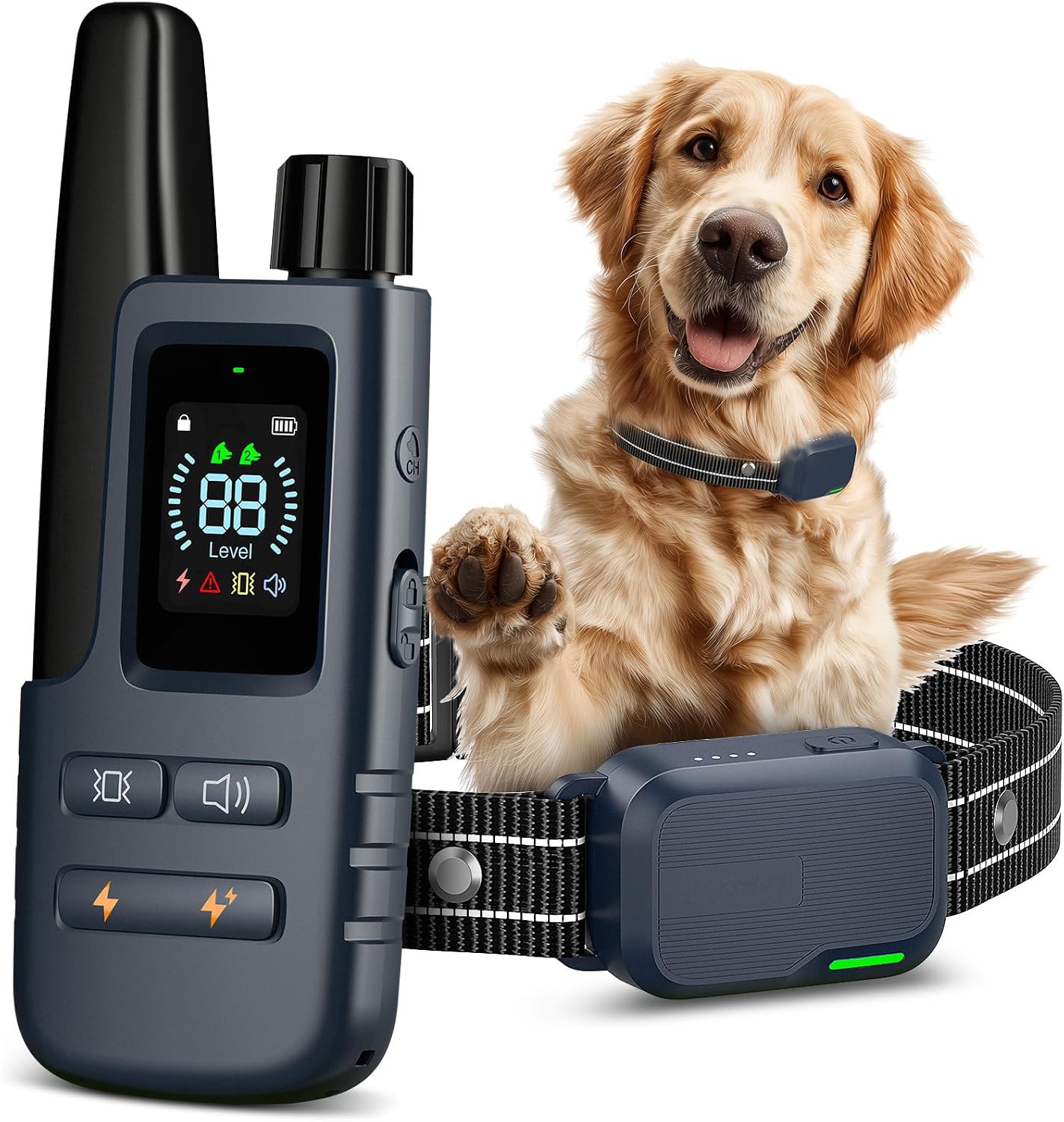 HapTop Dog Shock Collar front view showing the light blue electronic receiver and handheld remote control.