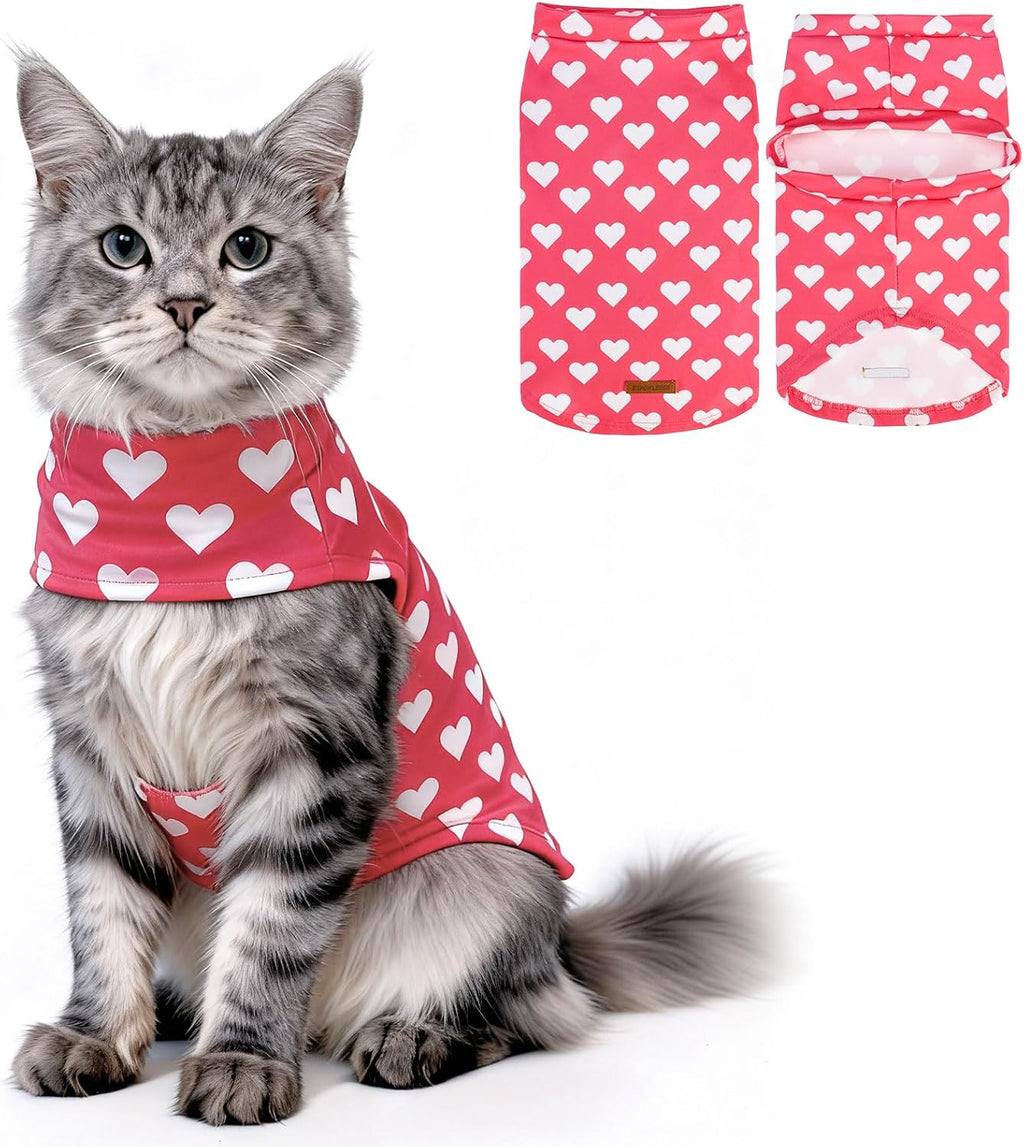EXPAWLORER Plaid Cat Sweater - Pet Clothes Cat Puppy Vest Warm Fleece Hoodie for Cats, Fall and Cold Winter Coat Pullover Design, Buffalo Checked Sweatshirt Clothing Also for Small Dogs - Image 11