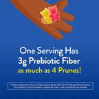 Lil Critters Kids Fiber Gummies packaging box and bottle overview.