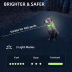 Adjustable buckle and D-ring on medium dog collar
