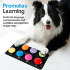Packaging box of authentic USA imported interactive dog communication system