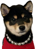 Adjustable pearl pet collar jewelry for special gatherings.