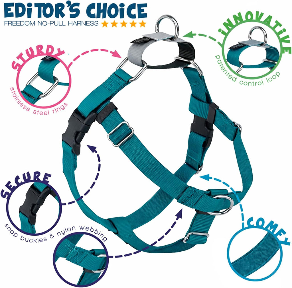 2 Hounds Design Freedom No Pull Dog Harness featuring the back martingale loop