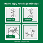 Advantage II XL Dog Vet-Recommended Flea Treatment & Prevention | Dogs Over 55 lbs. | 6-Month Supply - Image 9