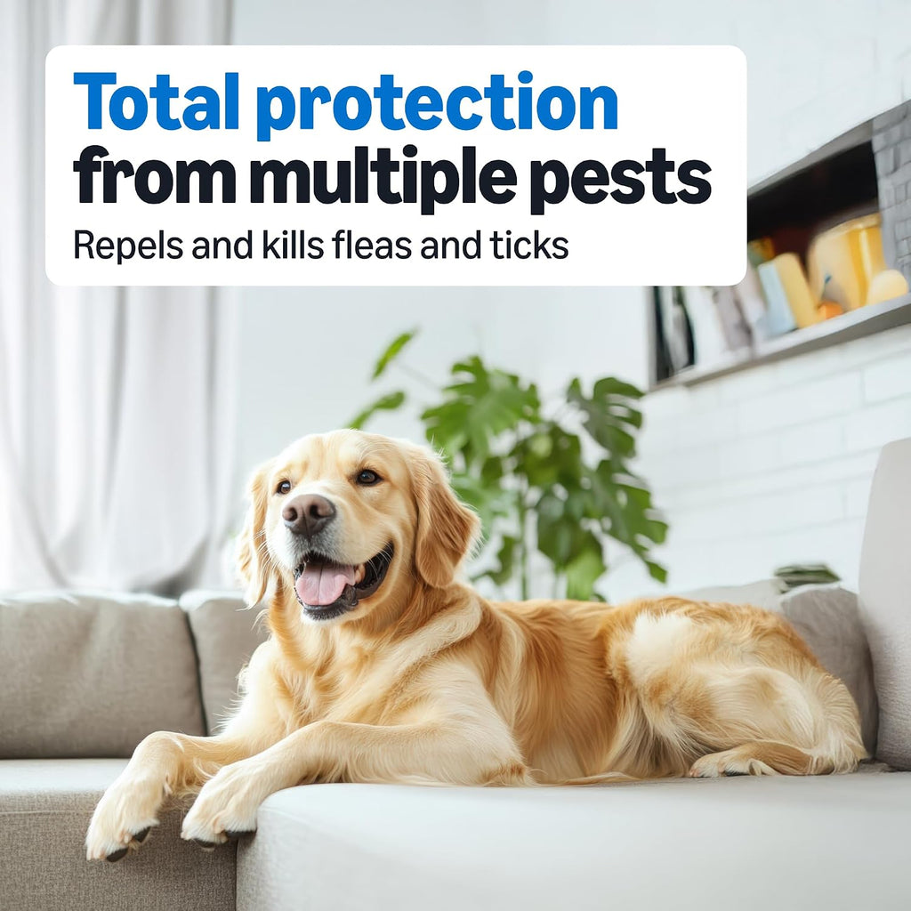 Waterproof topical pest prevention for medium dogs twenty three to forty four pounds