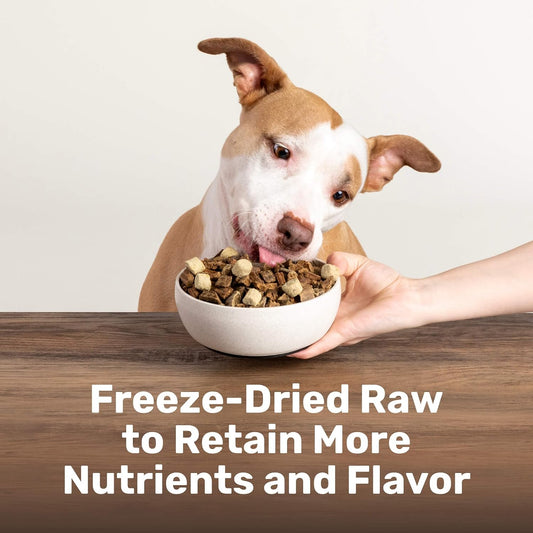 Close up of freeze dried beef tripe dog food nuggets