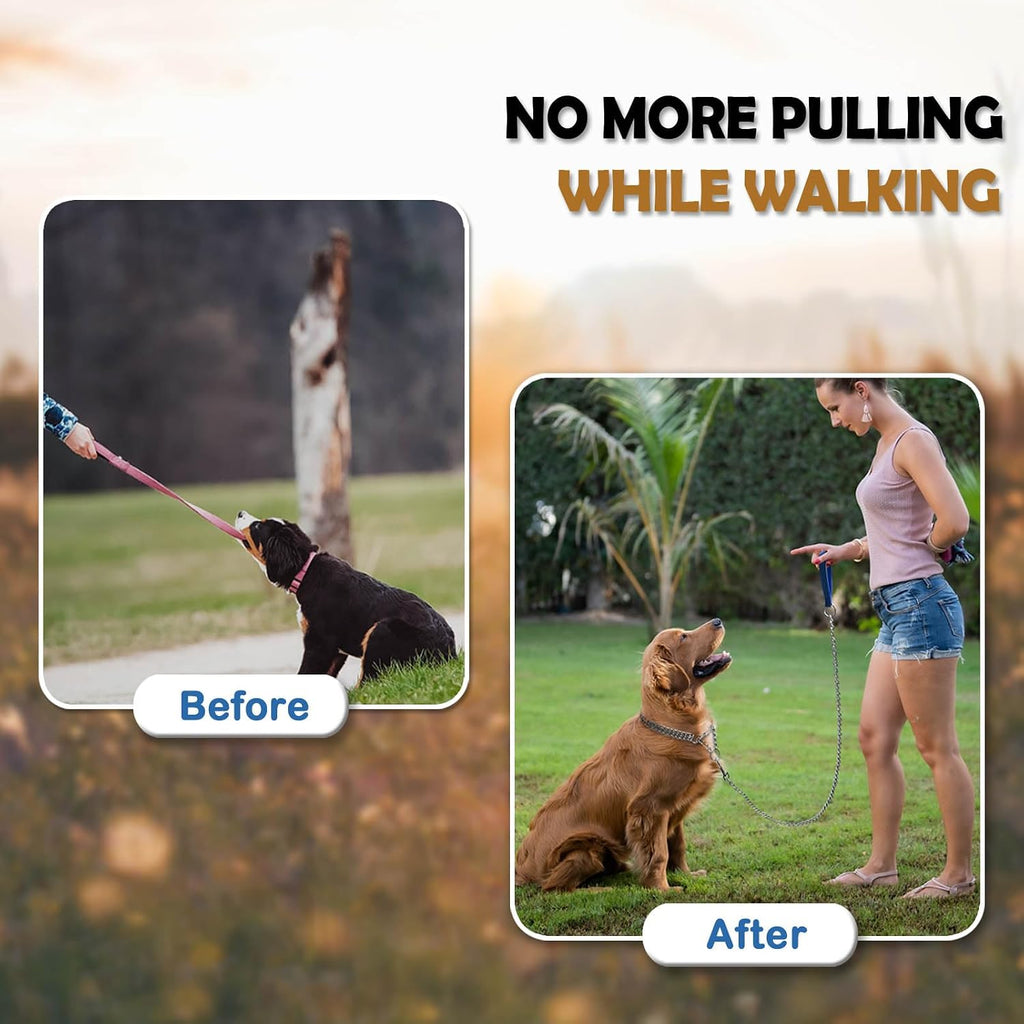 Chew proof metal training collar with limited closure loop for safe pet walking