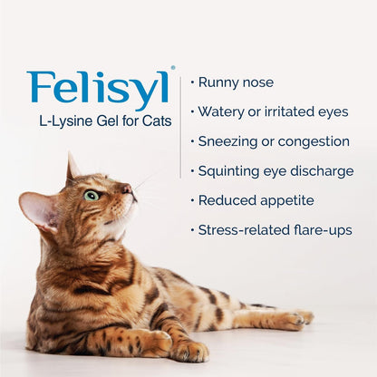 Authentic USA imported Felisyl L-Lysine cat supplement for runny nose and watery eyes