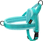 Didog Soft Flannel Padded Dog Vest Harness, No Pull/Quick Fit Reflective Dog Strap Harness, Easy for Training Walking (S:Chest 18-22", Mixed-Blue) - Image 10