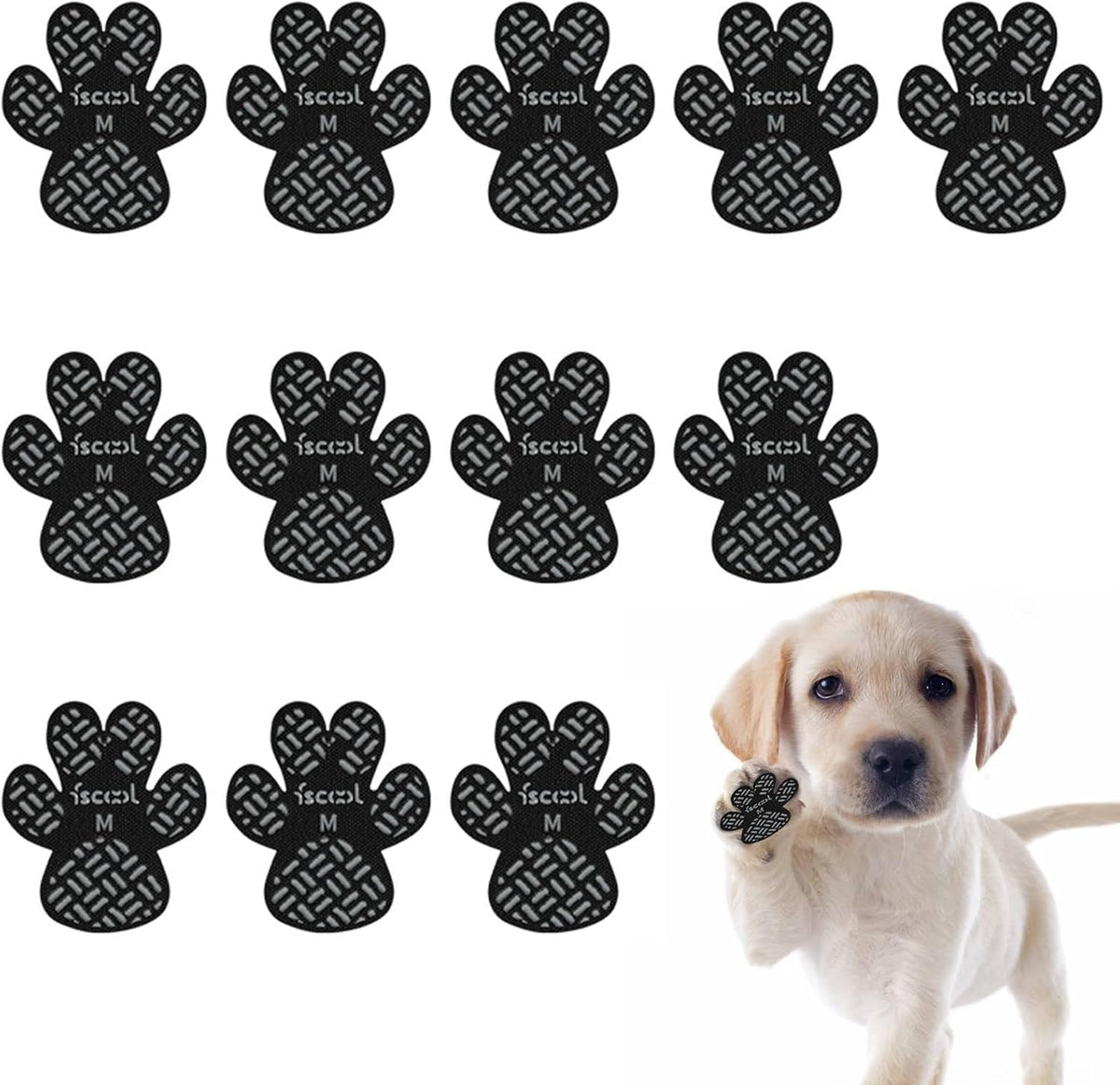 Yellow Labrador puppy looking at dog paw protection accessories