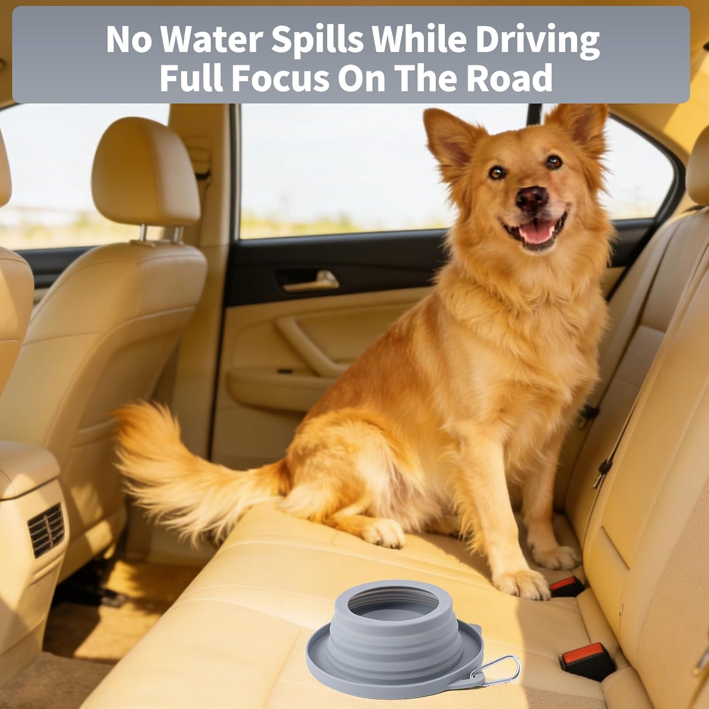 SLSON travel pet dish collapsed completely flat showcasing its space saving portable design for backpacking