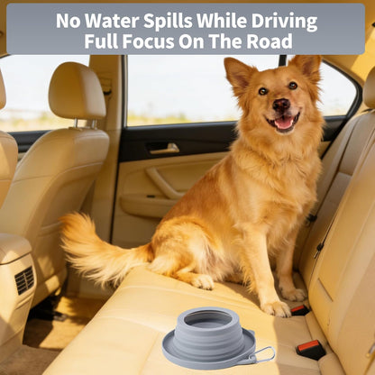 SLSON travel pet dish collapsed completely flat showcasing its space saving portable design for backpacking