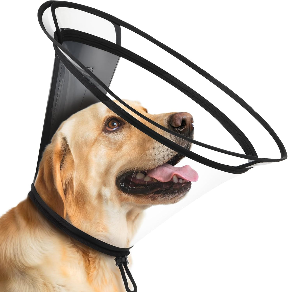 Bonthee clear dog cone collar front view authentic premium pet recovery e-collar.