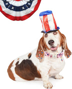 Small dog wearing American flag collar with bowtie