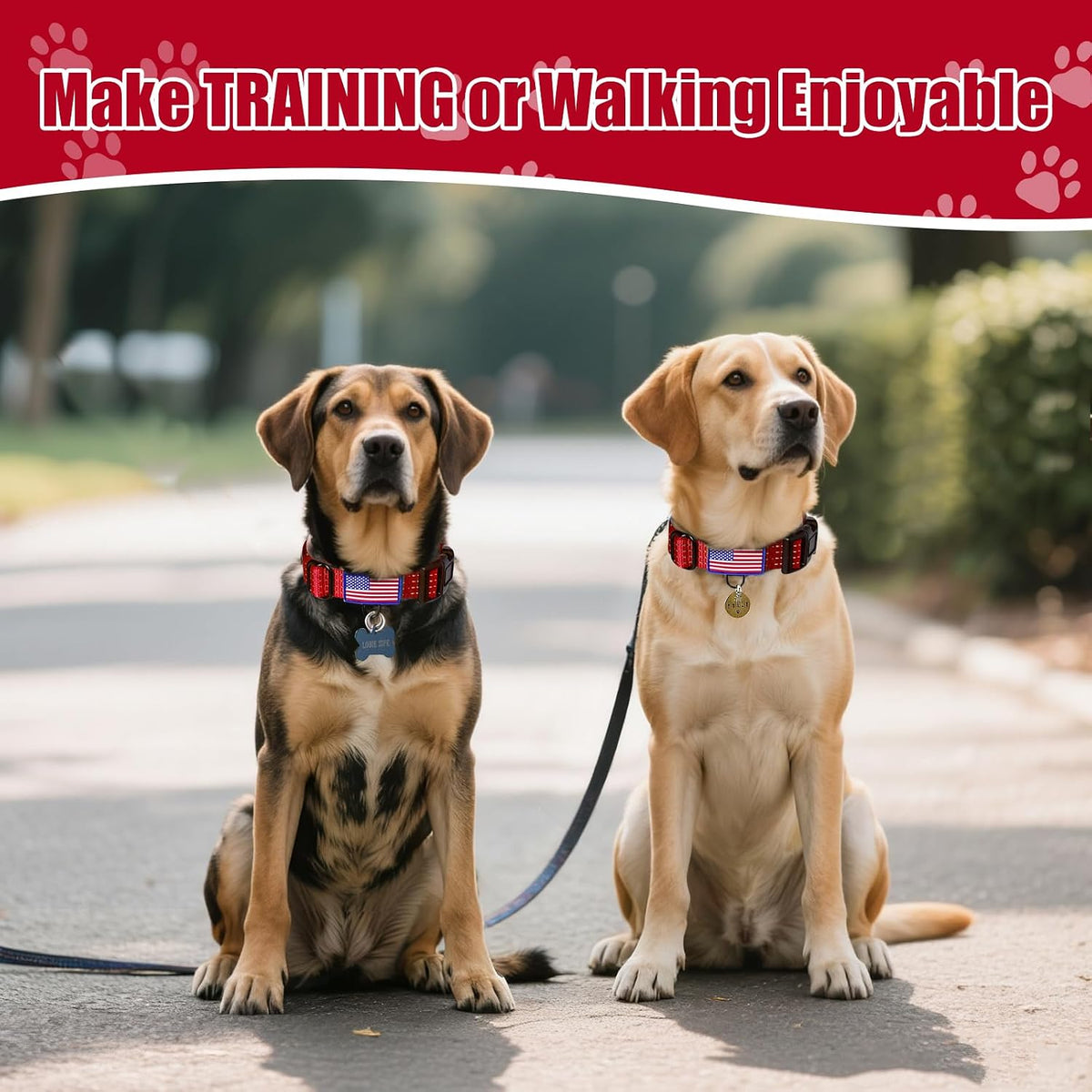 Adjustable nylon webbing detail for medium to large dogs