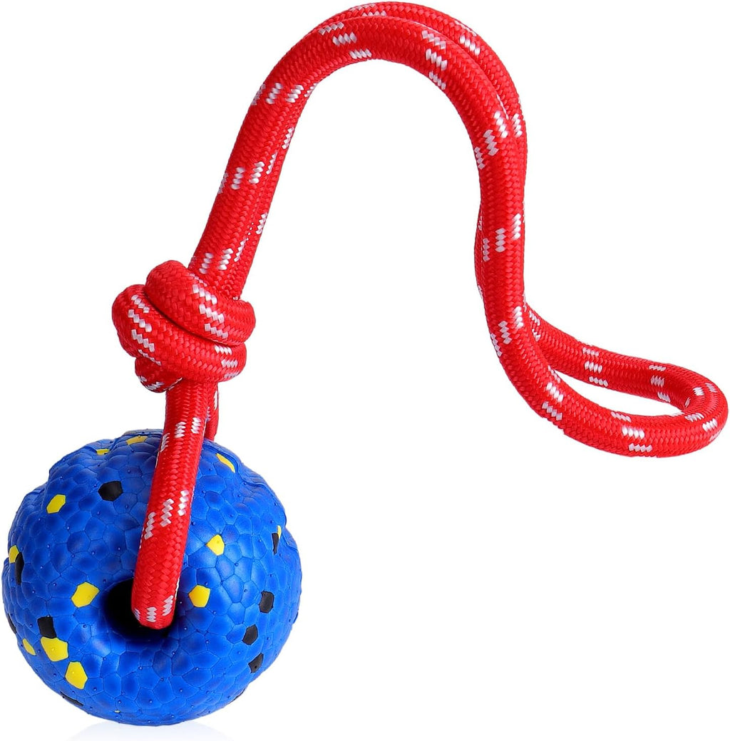 Mity rain 4PCS Floating Dog Toys -E-TPU Water Pool Fetching Toy for Small Medium Large Pet, Ball Shape Indestructible Interactive Dog Chew Toys for Summer Outdoor Training Fun - Image 11