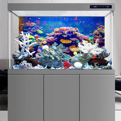 Outer glass installation layout for the underwater world terrarium backdrop.