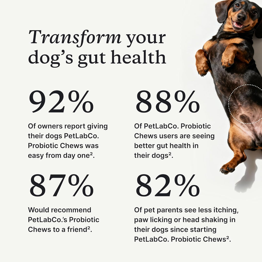 PetLab Co. dog digestive supplement value two pack containers side by side