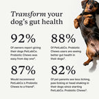 PetLab Co. dog digestive supplement value two pack containers side by side