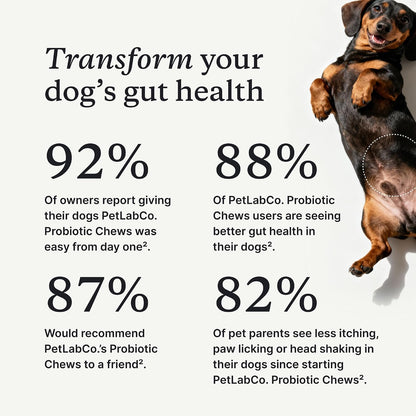 PetLab Co canine gut health soft chews packaging detail